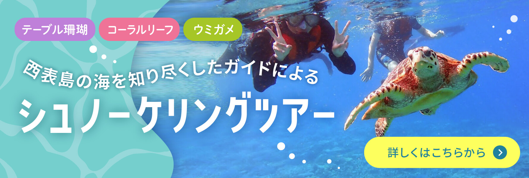 シュノーケルバナー画像
