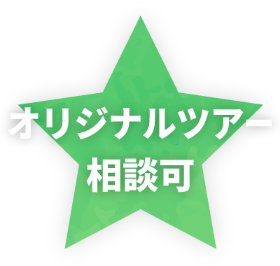 オリジナルツアー相談可