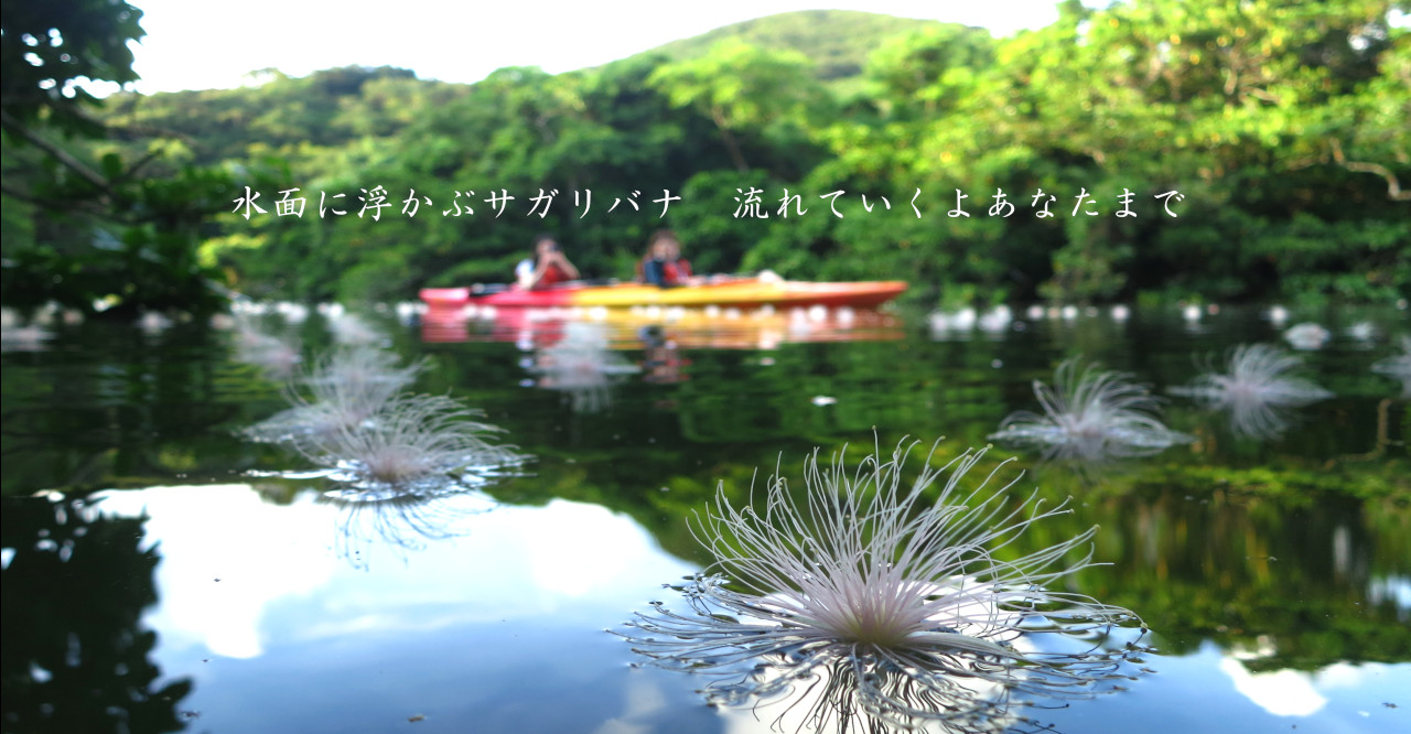 サガリバナ6